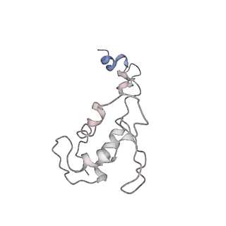 30865_7du2_P_v1-2
RNA polymerase III EC complex in post-translocation state