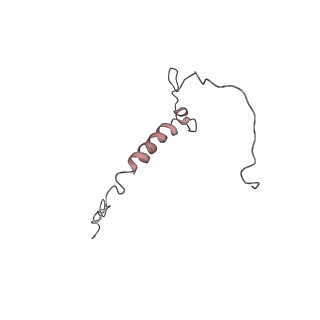 30865_7du2_Q_v1-1
RNA polymerase III EC complex in post-translocation state