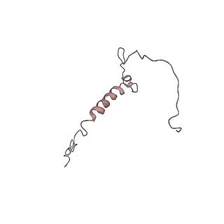 30865_7du2_Q_v1-2
RNA polymerase III EC complex in post-translocation state