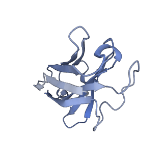 30866_7duq_N_v1-0
Cryo-EM structure of the compound 2 and GLP-1-bound human GLP-1 receptor-Gs complex