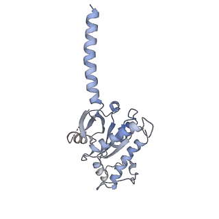 30867_7dur_A_v1-0
Cryo-EM structure of the compound 2-bound human GLP-1 receptor-Gs complex