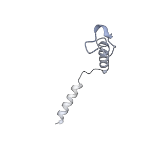 30867_7dur_G_v1-0
Cryo-EM structure of the compound 2-bound human GLP-1 receptor-Gs complex