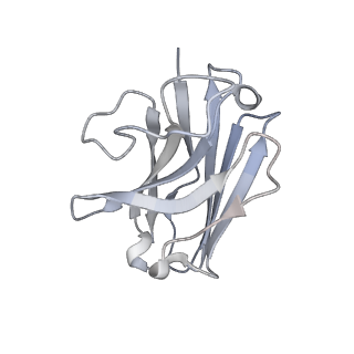 30867_7dur_N_v1-0
Cryo-EM structure of the compound 2-bound human GLP-1 receptor-Gs complex