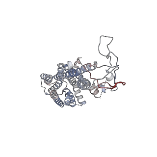 30867_7dur_R_v1-0
Cryo-EM structure of the compound 2-bound human GLP-1 receptor-Gs complex