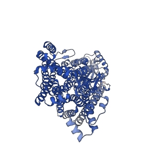30869_7duw_B_v1-1
Cryo-EM structure of the multiple peptide resistance factor (MprF) loaded with two lysyl-phosphatidylglycerol molecules