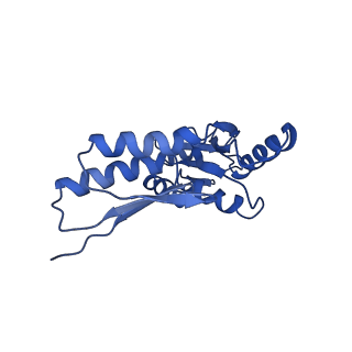 8913_6duz_A_v1-2
Structure of the periplasmic domains of PrgH and PrgK from the assembled Salmonella type III secretion injectisome needle complex