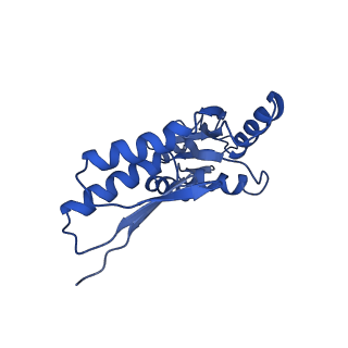 8913_6duz_B_v1-1
Structure of the periplasmic domains of PrgH and PrgK from the assembled Salmonella type III secretion injectisome needle complex