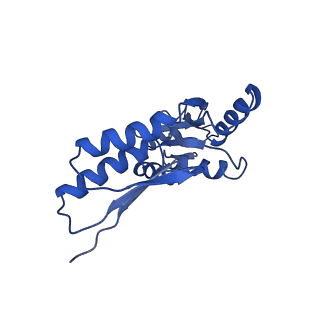 8913_6duz_B_v1-2
Structure of the periplasmic domains of PrgH and PrgK from the assembled Salmonella type III secretion injectisome needle complex