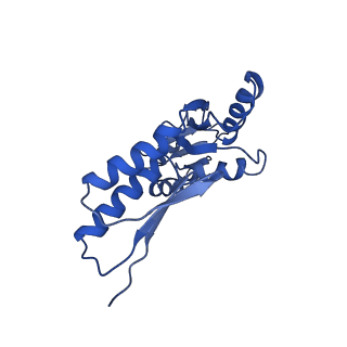 8913_6duz_C_v1-1
Structure of the periplasmic domains of PrgH and PrgK from the assembled Salmonella type III secretion injectisome needle complex