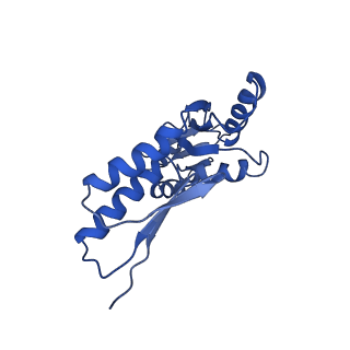 8913_6duz_C_v1-2
Structure of the periplasmic domains of PrgH and PrgK from the assembled Salmonella type III secretion injectisome needle complex