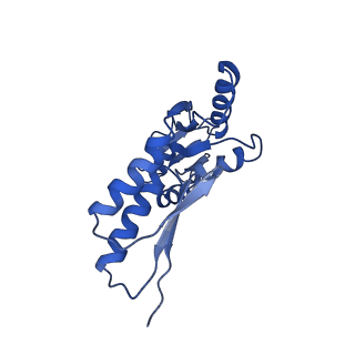 8913_6duz_D_v1-1
Structure of the periplasmic domains of PrgH and PrgK from the assembled Salmonella type III secretion injectisome needle complex