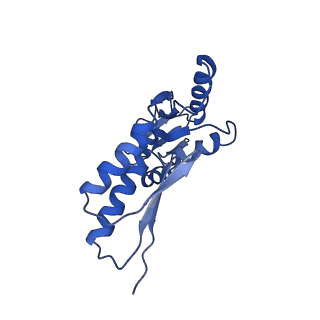 8913_6duz_D_v1-2
Structure of the periplasmic domains of PrgH and PrgK from the assembled Salmonella type III secretion injectisome needle complex