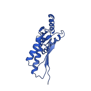 8913_6duz_E_v1-1
Structure of the periplasmic domains of PrgH and PrgK from the assembled Salmonella type III secretion injectisome needle complex
