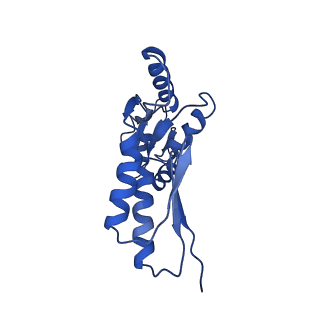 8913_6duz_F_v1-1
Structure of the periplasmic domains of PrgH and PrgK from the assembled Salmonella type III secretion injectisome needle complex