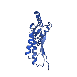 8913_6duz_F_v1-2
Structure of the periplasmic domains of PrgH and PrgK from the assembled Salmonella type III secretion injectisome needle complex