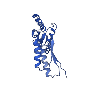 8913_6duz_G_v1-1
Structure of the periplasmic domains of PrgH and PrgK from the assembled Salmonella type III secretion injectisome needle complex