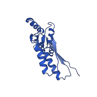 8913_6duz_H_v1-1
Structure of the periplasmic domains of PrgH and PrgK from the assembled Salmonella type III secretion injectisome needle complex