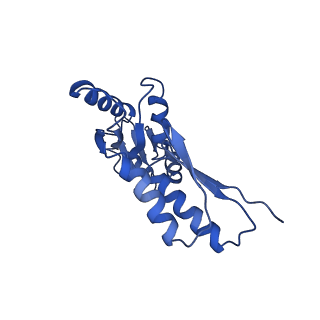 8913_6duz_I_v1-1
Structure of the periplasmic domains of PrgH and PrgK from the assembled Salmonella type III secretion injectisome needle complex