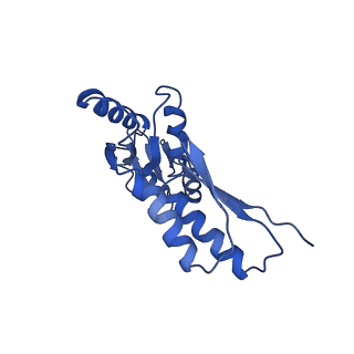 8913_6duz_I_v1-2
Structure of the periplasmic domains of PrgH and PrgK from the assembled Salmonella type III secretion injectisome needle complex