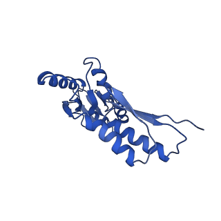 8913_6duz_J_v1-1
Structure of the periplasmic domains of PrgH and PrgK from the assembled Salmonella type III secretion injectisome needle complex