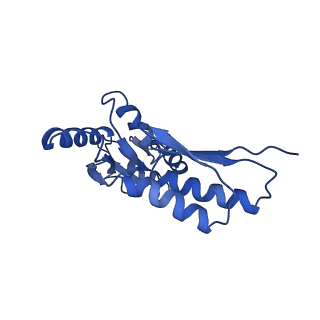 8913_6duz_K_v1-2
Structure of the periplasmic domains of PrgH and PrgK from the assembled Salmonella type III secretion injectisome needle complex