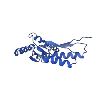 8913_6duz_L_v1-1
Structure of the periplasmic domains of PrgH and PrgK from the assembled Salmonella type III secretion injectisome needle complex