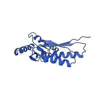 8913_6duz_L_v1-2
Structure of the periplasmic domains of PrgH and PrgK from the assembled Salmonella type III secretion injectisome needle complex