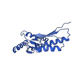 8913_6duz_M_v1-2
Structure of the periplasmic domains of PrgH and PrgK from the assembled Salmonella type III secretion injectisome needle complex