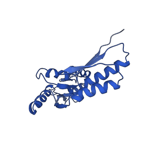 8913_6duz_N_v1-1
Structure of the periplasmic domains of PrgH and PrgK from the assembled Salmonella type III secretion injectisome needle complex