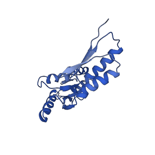 8913_6duz_O_v1-1
Structure of the periplasmic domains of PrgH and PrgK from the assembled Salmonella type III secretion injectisome needle complex