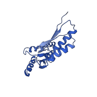 8913_6duz_O_v1-2
Structure of the periplasmic domains of PrgH and PrgK from the assembled Salmonella type III secretion injectisome needle complex