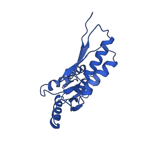 8913_6duz_P_v1-1
Structure of the periplasmic domains of PrgH and PrgK from the assembled Salmonella type III secretion injectisome needle complex