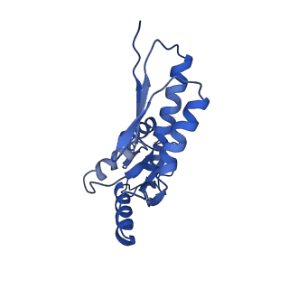 8913_6duz_Q_v1-1
Structure of the periplasmic domains of PrgH and PrgK from the assembled Salmonella type III secretion injectisome needle complex