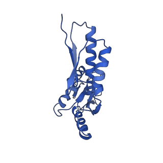 8913_6duz_R_v1-1
Structure of the periplasmic domains of PrgH and PrgK from the assembled Salmonella type III secretion injectisome needle complex