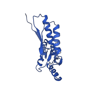 8913_6duz_S_v1-1
Structure of the periplasmic domains of PrgH and PrgK from the assembled Salmonella type III secretion injectisome needle complex