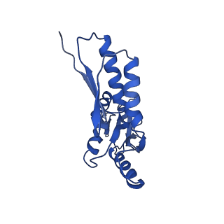 8913_6duz_S_v1-2
Structure of the periplasmic domains of PrgH and PrgK from the assembled Salmonella type III secretion injectisome needle complex