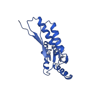 8913_6duz_T_v1-1
Structure of the periplasmic domains of PrgH and PrgK from the assembled Salmonella type III secretion injectisome needle complex