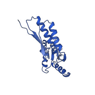 8913_6duz_T_v1-2
Structure of the periplasmic domains of PrgH and PrgK from the assembled Salmonella type III secretion injectisome needle complex
