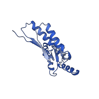 8913_6duz_U_v1-1
Structure of the periplasmic domains of PrgH and PrgK from the assembled Salmonella type III secretion injectisome needle complex