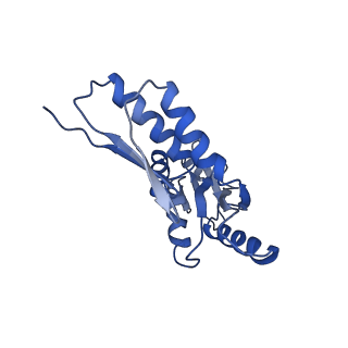 8913_6duz_U_v1-2
Structure of the periplasmic domains of PrgH and PrgK from the assembled Salmonella type III secretion injectisome needle complex