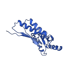 8913_6duz_V_v1-1
Structure of the periplasmic domains of PrgH and PrgK from the assembled Salmonella type III secretion injectisome needle complex