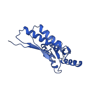 8913_6duz_V_v1-2
Structure of the periplasmic domains of PrgH and PrgK from the assembled Salmonella type III secretion injectisome needle complex