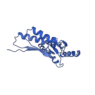 8913_6duz_W_v1-2
Structure of the periplasmic domains of PrgH and PrgK from the assembled Salmonella type III secretion injectisome needle complex