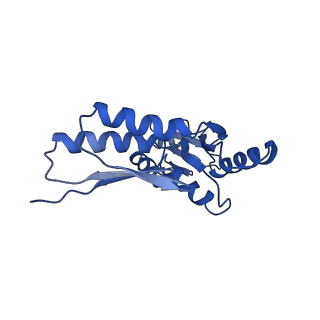 8913_6duz_X_v1-1
Structure of the periplasmic domains of PrgH and PrgK from the assembled Salmonella type III secretion injectisome needle complex