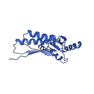 8913_6duz_X_v1-2
Structure of the periplasmic domains of PrgH and PrgK from the assembled Salmonella type III secretion injectisome needle complex