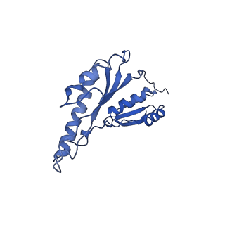 8913_6duz_Y_v1-2
Structure of the periplasmic domains of PrgH and PrgK from the assembled Salmonella type III secretion injectisome needle complex