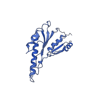8913_6duz_Z_v1-1
Structure of the periplasmic domains of PrgH and PrgK from the assembled Salmonella type III secretion injectisome needle complex