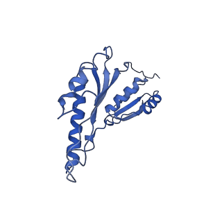 8913_6duz_Z_v1-2
Structure of the periplasmic domains of PrgH and PrgK from the assembled Salmonella type III secretion injectisome needle complex