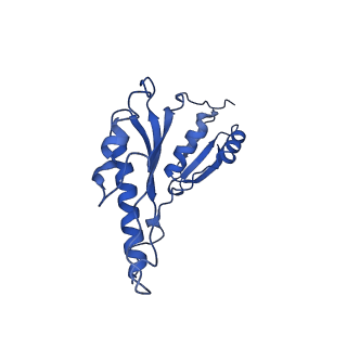 8913_6duz_a_v1-1
Structure of the periplasmic domains of PrgH and PrgK from the assembled Salmonella type III secretion injectisome needle complex