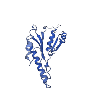 8913_6duz_b_v1-1
Structure of the periplasmic domains of PrgH and PrgK from the assembled Salmonella type III secretion injectisome needle complex